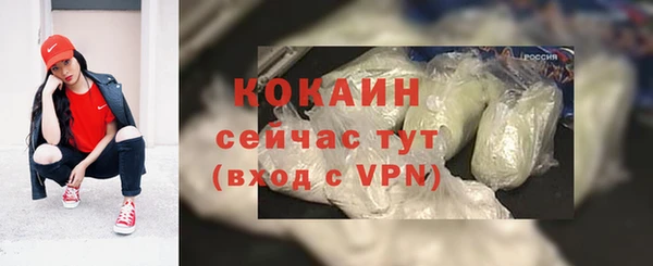 стафф Новодвинск