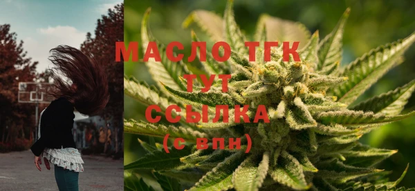 стафф Новодвинск
