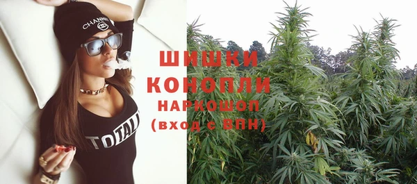 стафф Новодвинск