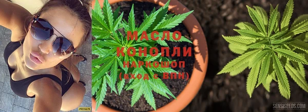 стафф Новодвинск