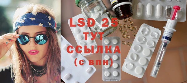 стафф Новодвинск