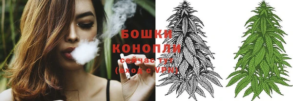 стафф Новодвинск