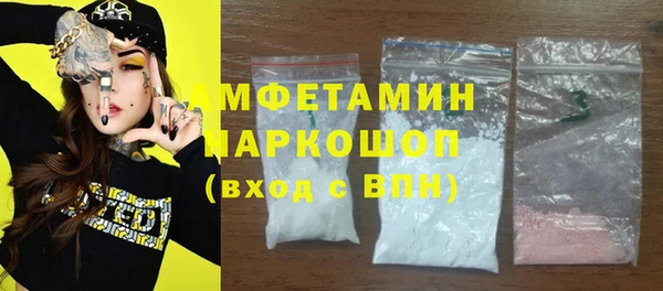 стафф Новодвинск